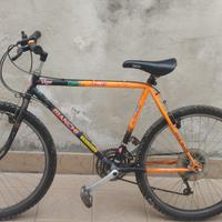 mtb bianchi corona ovale