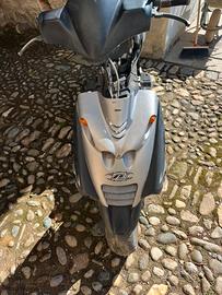 beta ark 50 cc