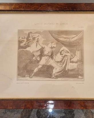 Litografia Mitologica Linceo Mutato in Lince Corni