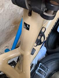 Bici elettrica