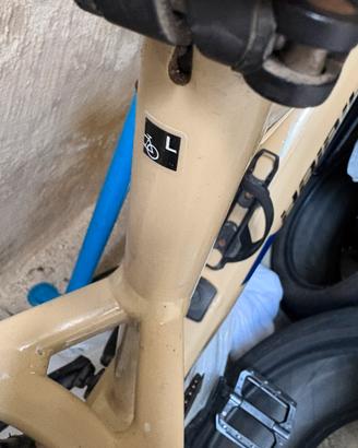 Bici elettrica
