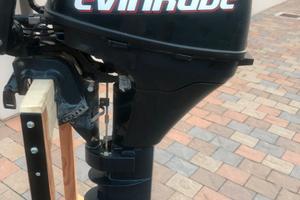 Evinrude 9.8 cv