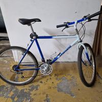 MTB Legnano da 26