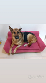 Cuccia brandina divanetto