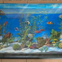 Cornice Accademia - Acquario pesci dipinto a mano