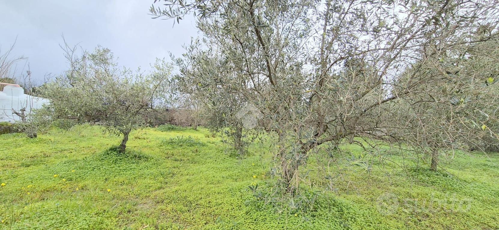 VILLA SINGOLA A MONREALE - Vista 4