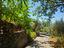 Immagine 29