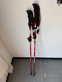 Bastoni da trekking pieghevoli