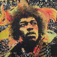Quadro ritratto di Jimi Hendrix – Purple Haze