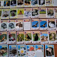 Carte Coop Legambiente