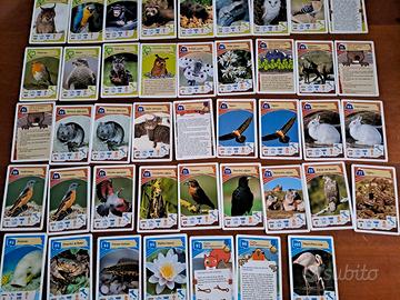 Carte Coop Legambiente