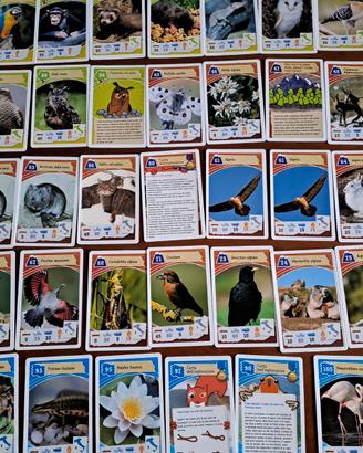 Carte Coop Legambiente