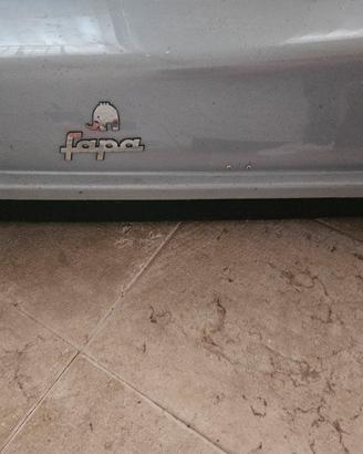 portapacchi fapa per auto 