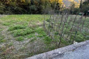 Terreno con indice edificabile