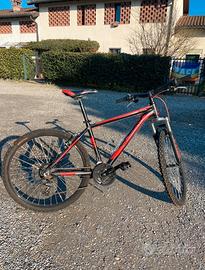 bici Mtb doublezz boxer da ragazzo