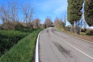 Immobile in asta di 43309 m² a Meldola