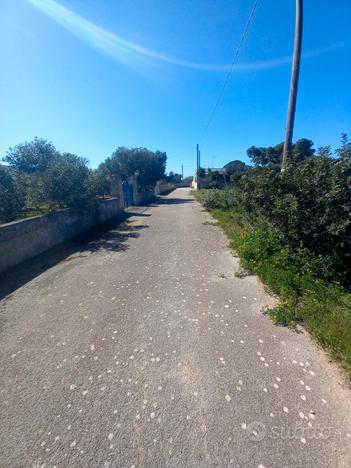 SAN PIETRO IN BEVAGNA Terreno 500mt dal mare