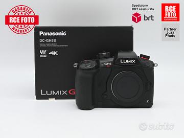 Panasonic GH5 S + VLOG