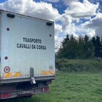 Camion trasporto cavalli
