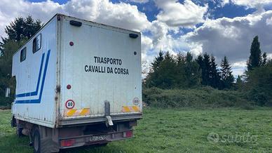 Camion trasporto cavalli