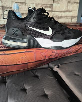 scarpe ginnastica 