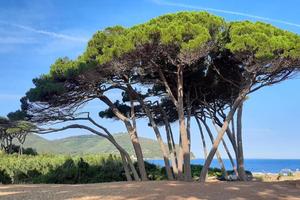 Primavera estate 2026 mare golfo di Baratti