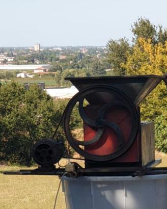 Pigia diraspatrice - Vino - Uva