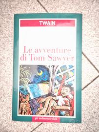 Le avventure di Tom Sawyer