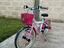 Immagine 2