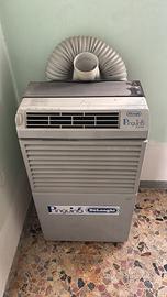 Pinguino de longhi