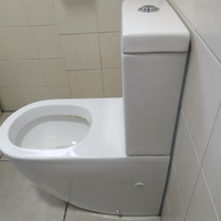 FALERII linea Foglia cassetta wc "C E R C O"