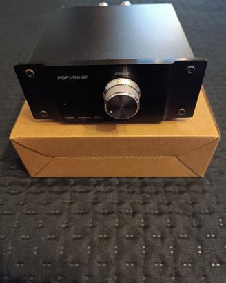 POP/PULSE CLASS-T AMPLIFIER 2020