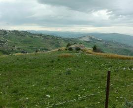 Terreno 2,5 ettari a San Giovanni Gemini (AG)