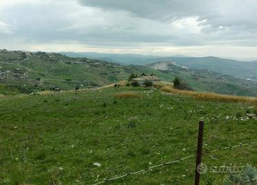 Terreno 2,5 ettari a San Giovanni Gemini (AG)