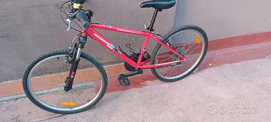 Bicicletta montbik