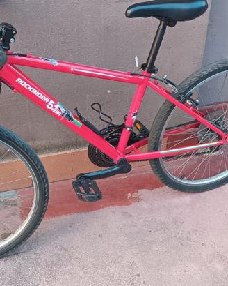 Bicicletta montbik