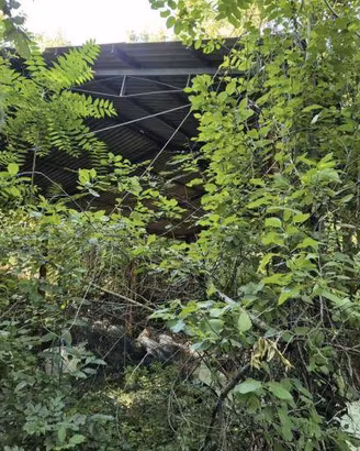 Immobile in asta di 2112 m² a Forlì