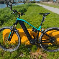 Ebike