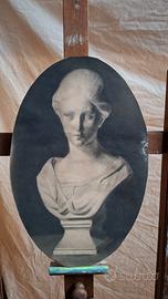 Splendido disegno accademico vintage a elisse