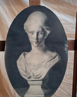 Splendido disegno accademico vintage a elisse