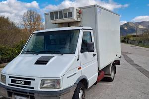 IVECO DAILY CELLA FRIGO