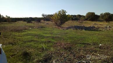 Terreno agricolo in Mola di Bari