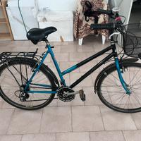 Bicicletta mountain bike