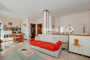 TRILOCALE CON 2 BOX A DORNO