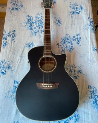 Washburn WG7SCEBM-O usata poco