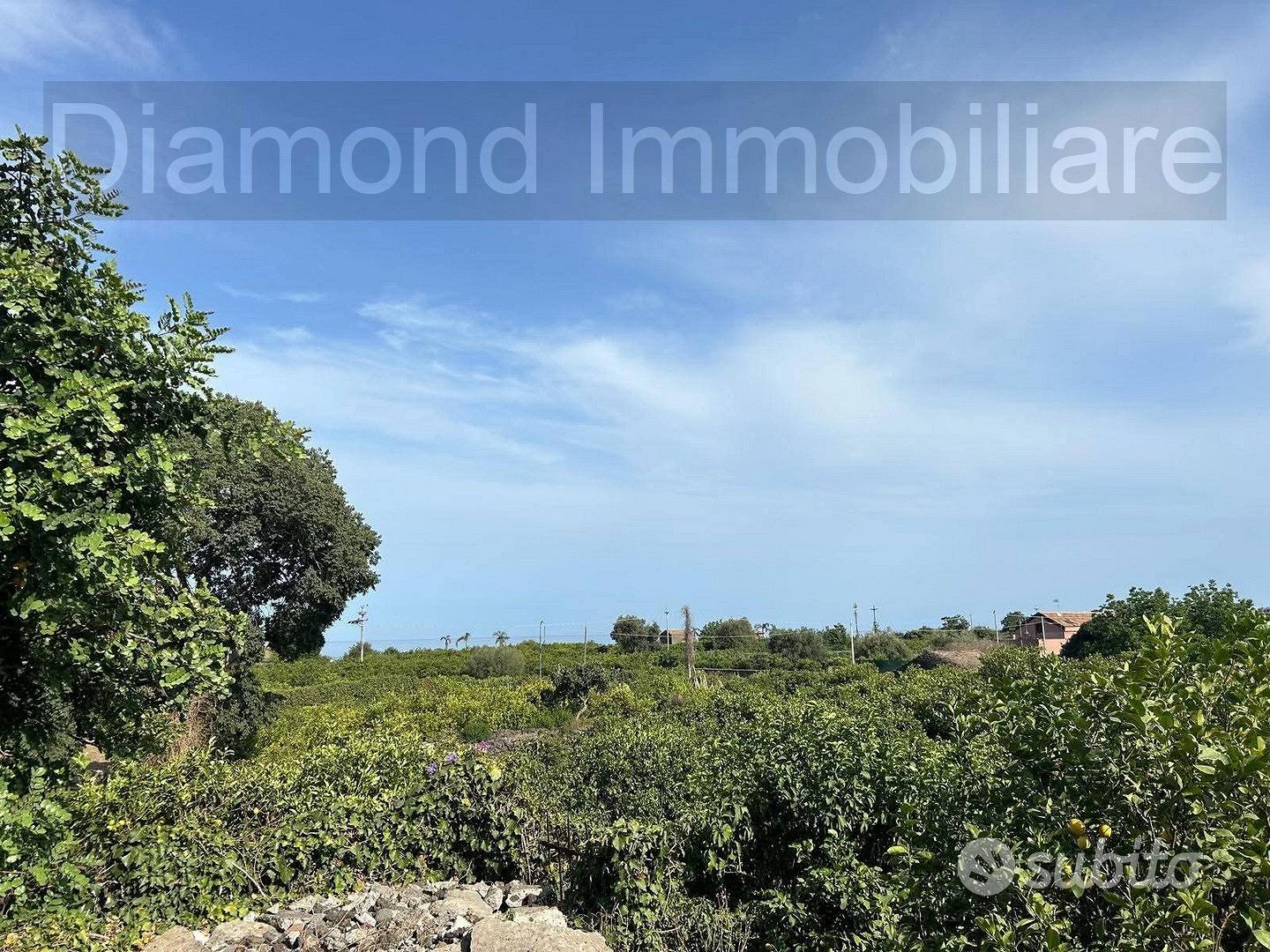 Limoneto con rustico a Pozzillo - Acireale - Vista 4