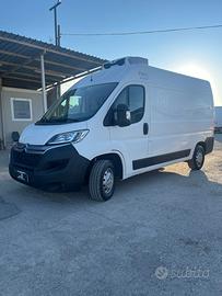 Citroen Jumper frigo