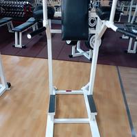 DIP PER PARALLELE E MILITARY PRESS TECHNOGYM LUX