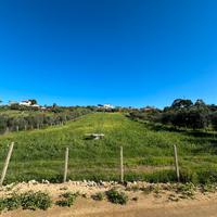 Terreno attrezzabile per animali, pascolo e fattor