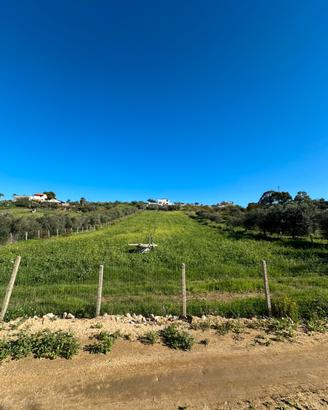 Terreno attrezzabile per animali, pascolo e fattor